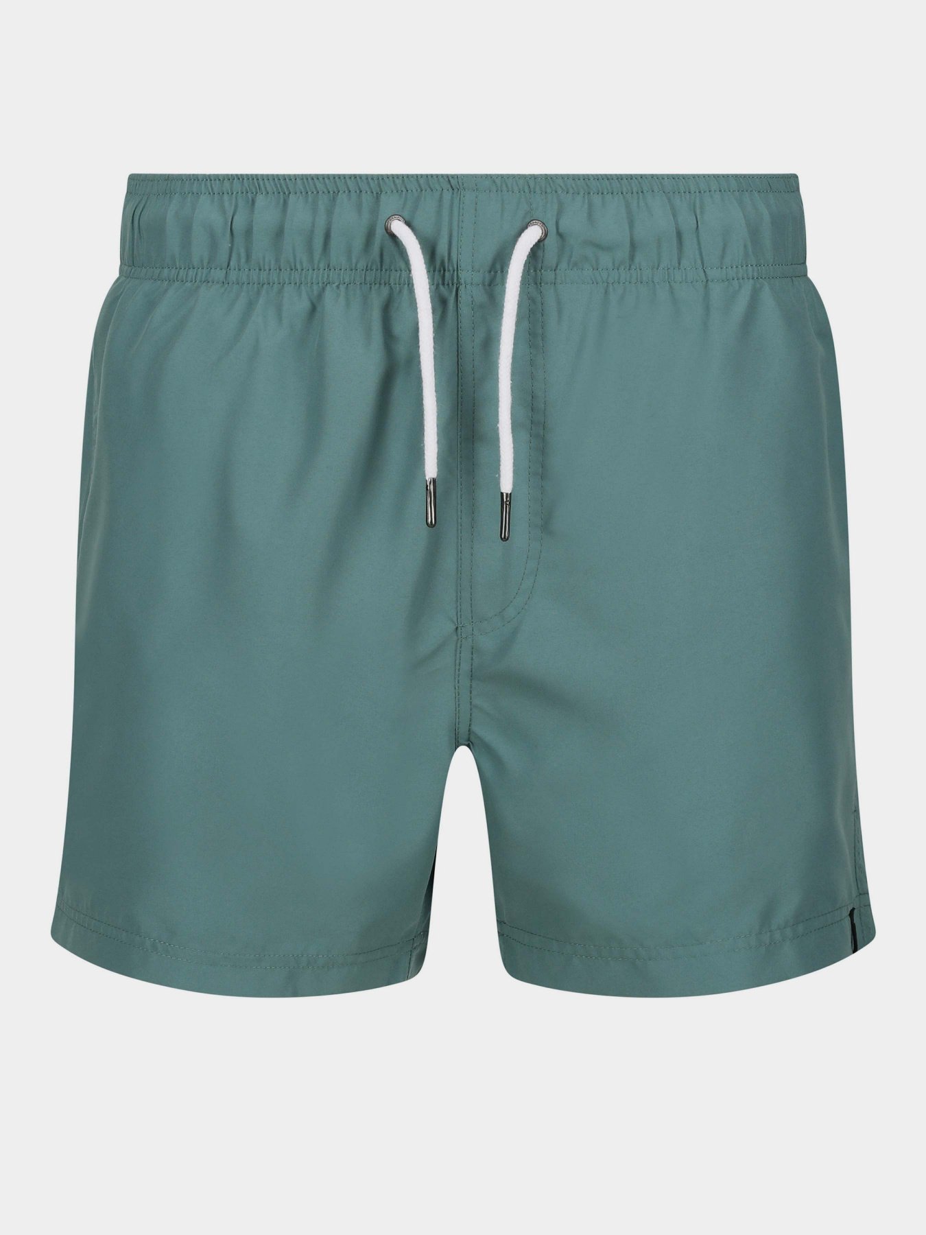 Шорты для плавания Regatta Mawson SwShortIII модель RMM016-G79 Бірюзовий Фото