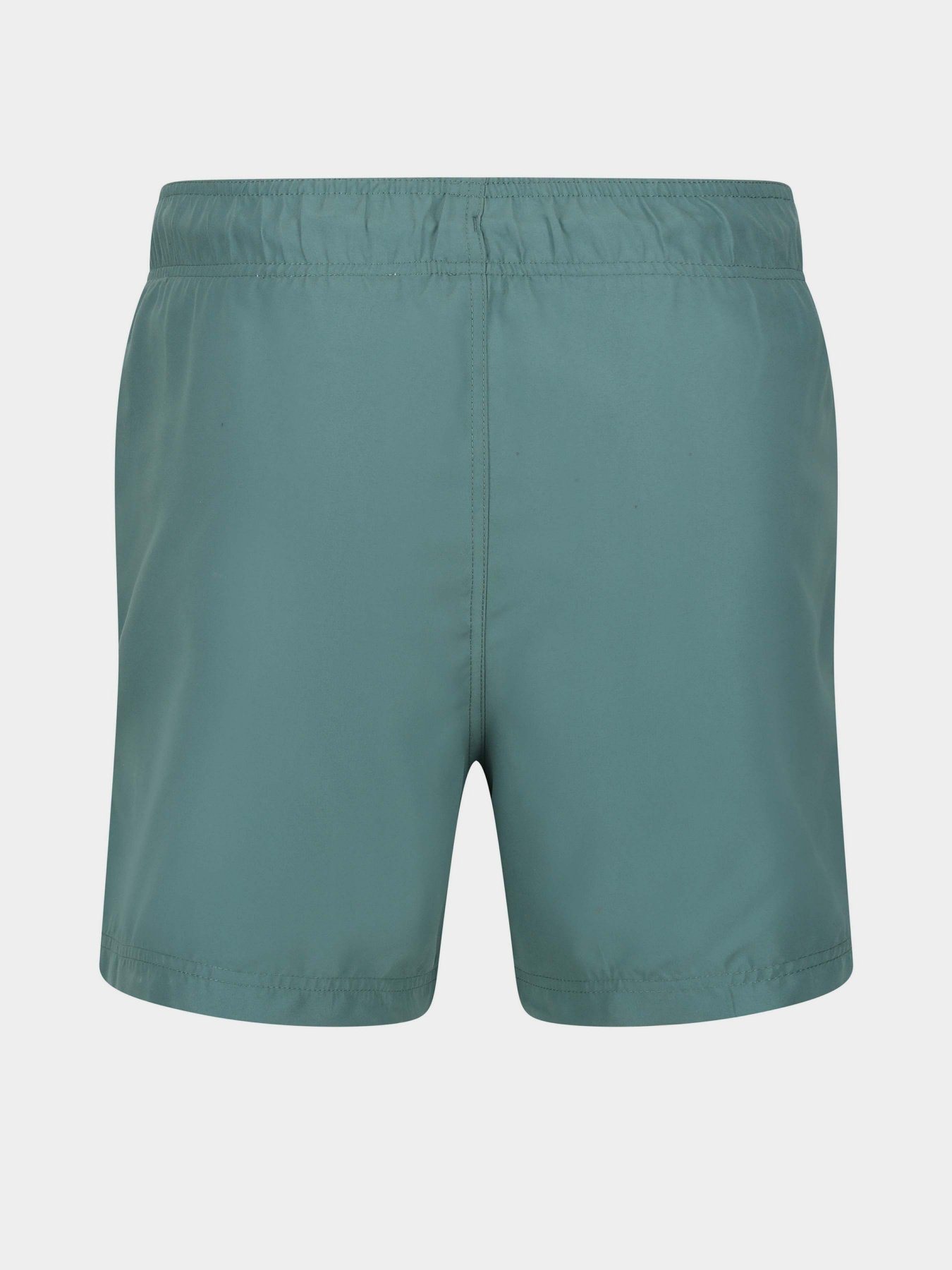 Шорты для плавания Regatta Mawson SwShortIII модель RMM016-G79 Бірюзовий Фото