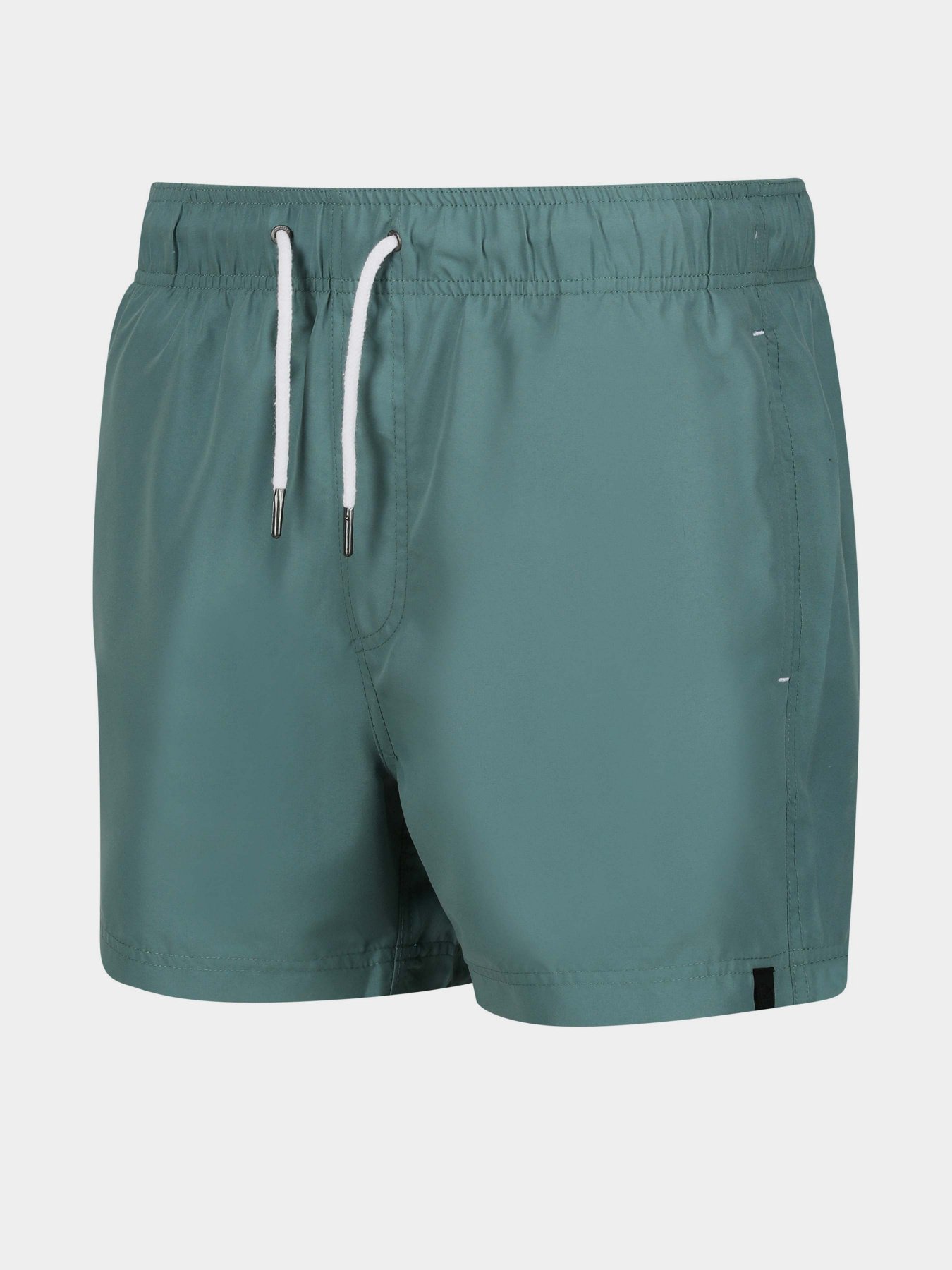 Шорты для плавания Regatta Mawson SwShortIII модель RMM016-G79 Бірюзовий Фото