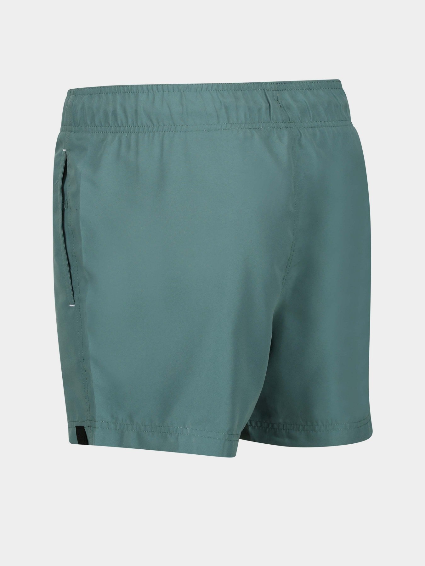 Шорти для плавання Regatta Mawson SwShortIII модель RMM016-G79 Бірюзовий Шорти для плавання Regatta Mawson SwShortIII модель RMM016-G79 Бірюзовий Фото