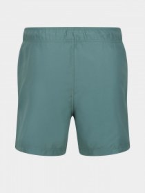 Шорти для плавання Regatta Mawson SwShortIII модель RMM016-G79 Бірюзовий Шорти для плавання Regatta Mawson SwShortIII модель RMM016-G79 Бірюзовий Фото