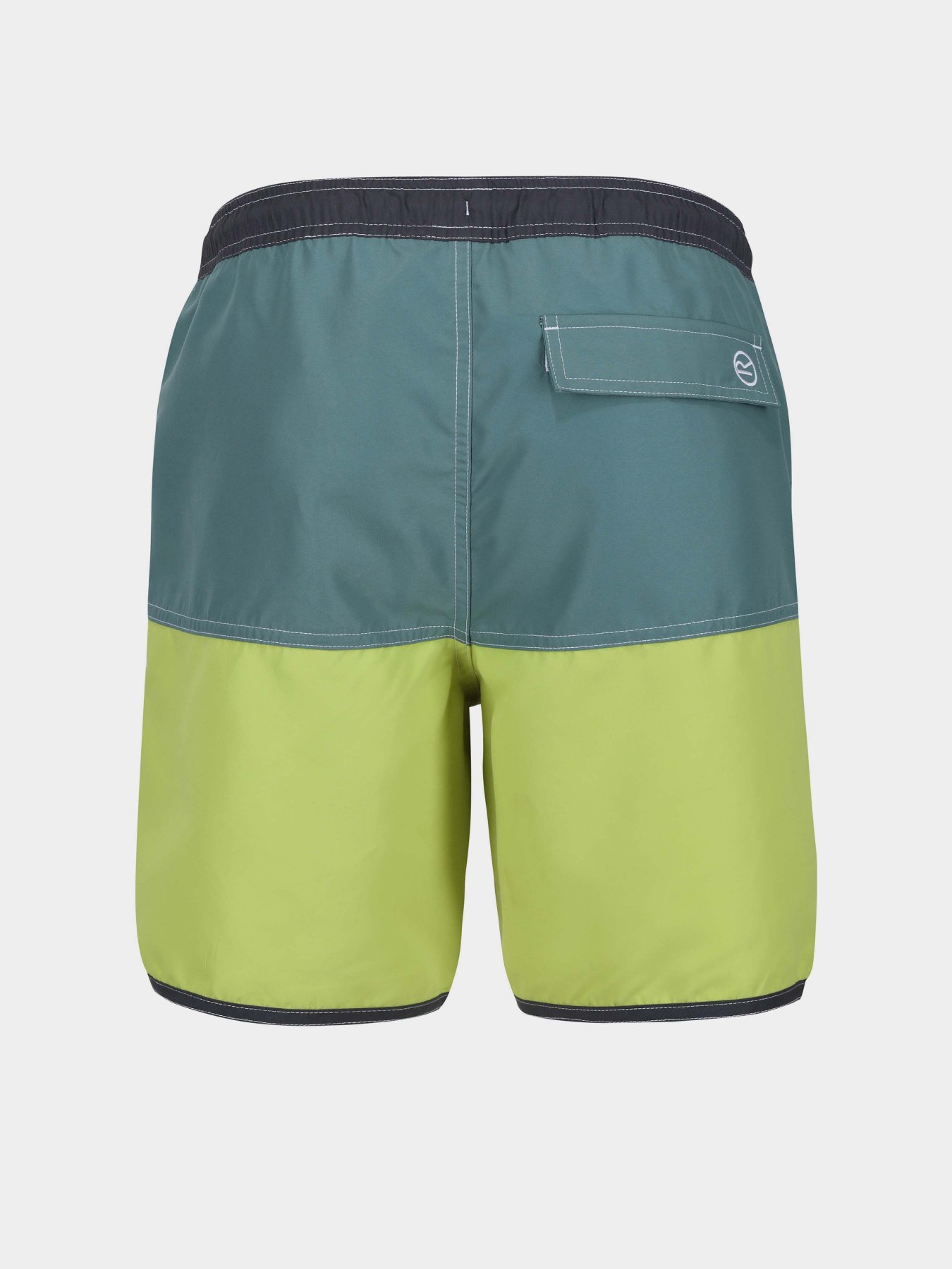 Шорты для плавания Regatta Benicio модель RMM024-N1U Синій, зелений Фото