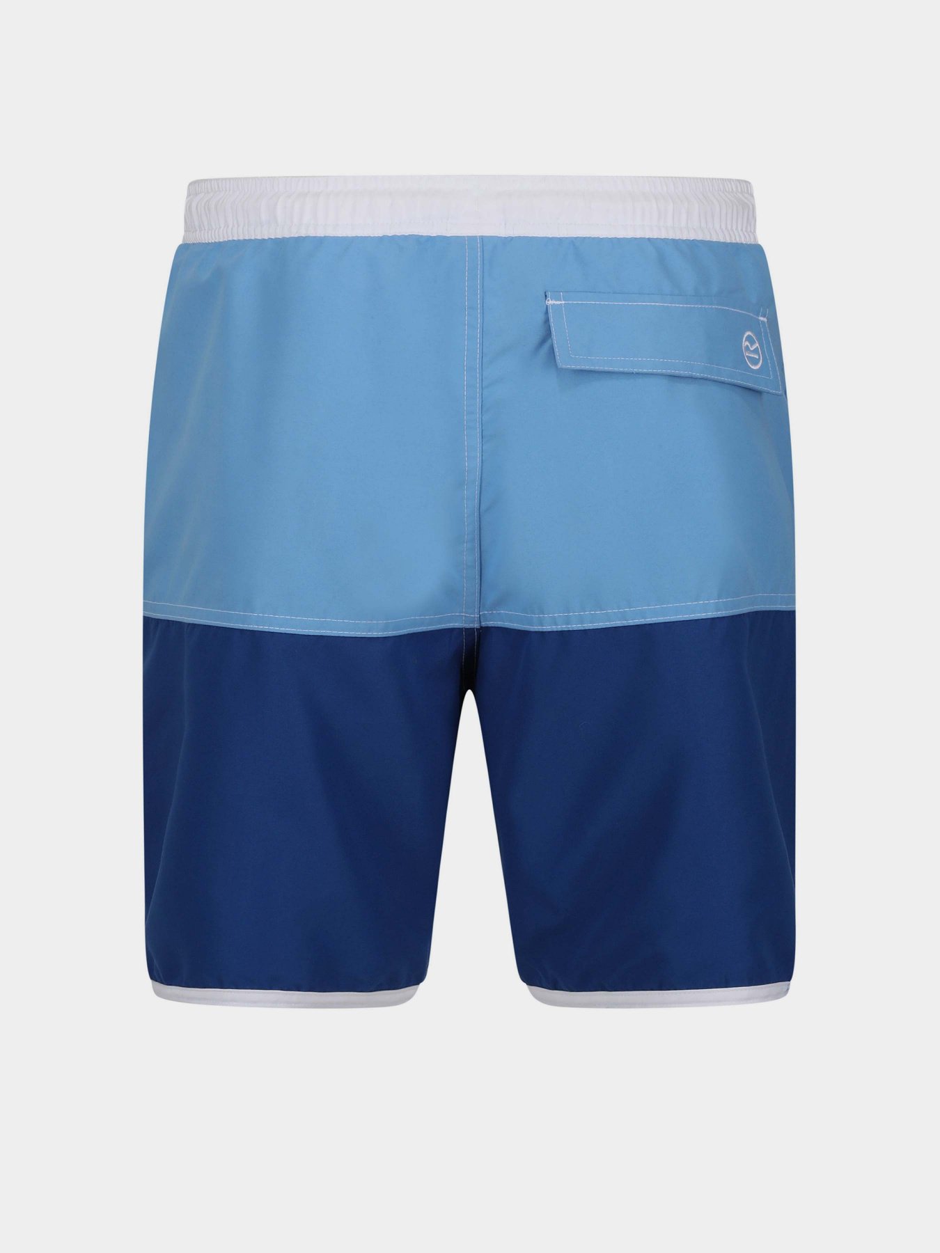 Шорти для плавання Regatta Benicio модель RMM024-R52 Синій Фото