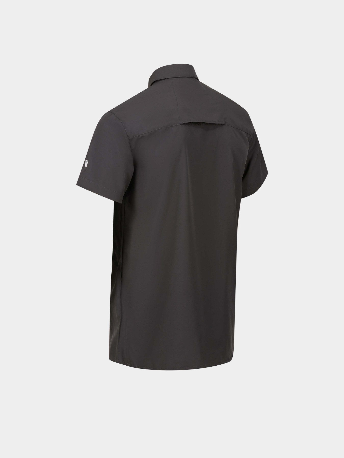 Поло Regatta Kioga II модель RMS138-038 Сірий Фото