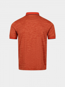 Поло Regatta Remex II модель RMT186-33L Помаранчевий Фото