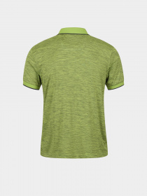 Поло Regatta Remex II модель RMT186-N5H Зелений Фото