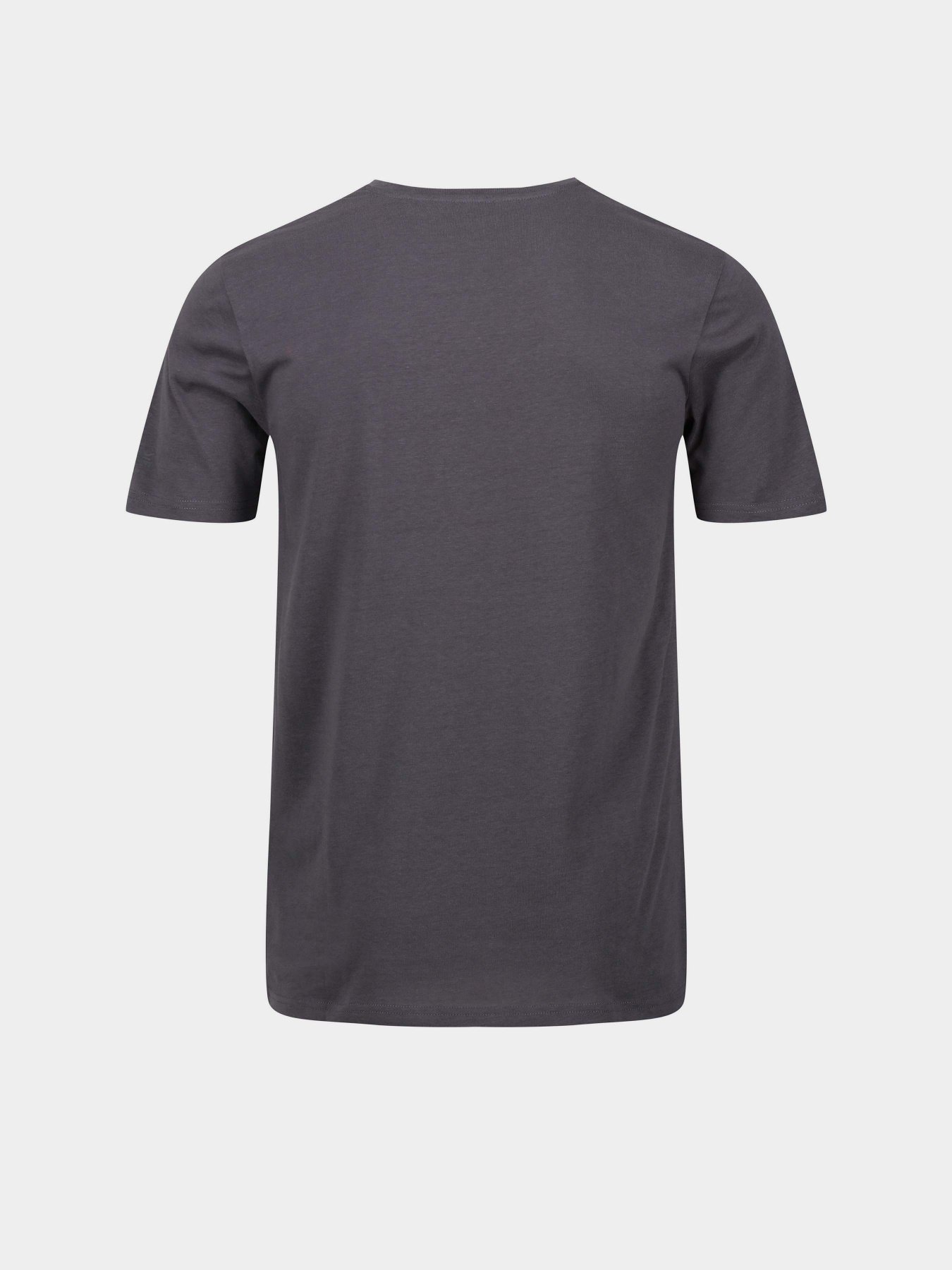 Футболка Regatta Tait модель RMT218-038 Сірий Фото