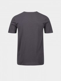 Футболка Regatta Tait модель RMT218-038 Сірий Фото