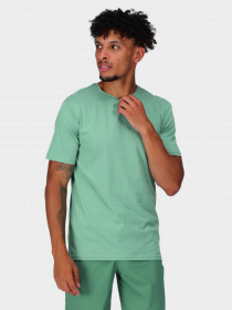 Футболка Regatta Tait модель RMT218-C0Q Блакитний Фото