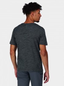 Футболка Regatta Fingal Edition модель RMT237-038 Сірий Фото