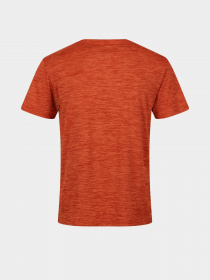 Футболка Regatta Fingal Edition модель RMT237-33L Помаранчевий Фото