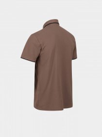 Поло Regatta модель RMT248-1VM Коричневий Фото