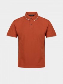 Поло Regatta Tadeo модель RMT248-K13 Помаранчевий Фото