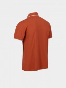 Поло Regatta Tadeo модель RMT248-K13 Помаранчевий Фото