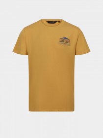 Футболка Regatta Cline VII модель RMT263-BIM Жовтий Футболка Regatta Cline VII модель RMT263-BIM Жовтий Фото