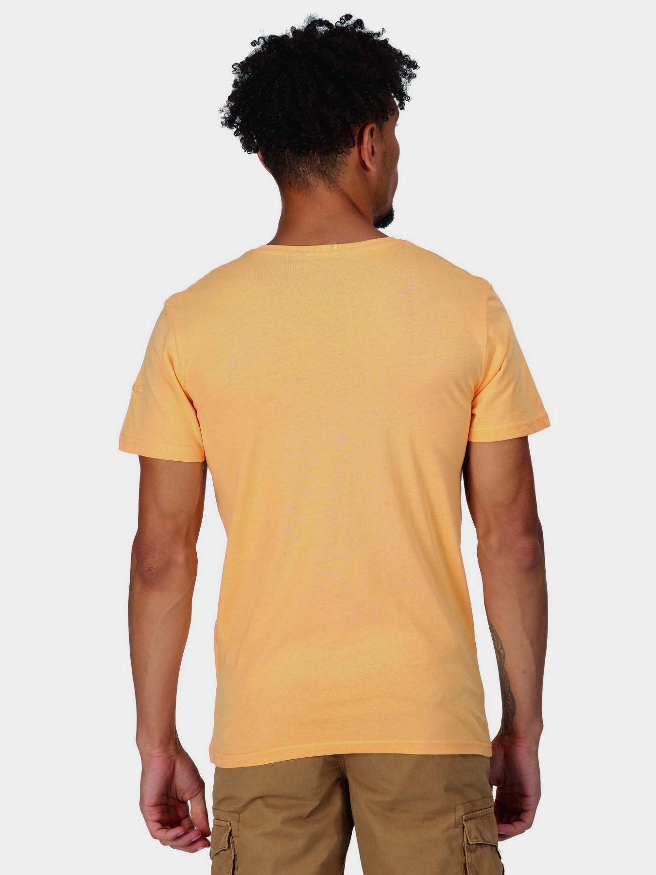 Футболка Regatta Cline VII модель RMT263-JPJ Помаранчевий Фото