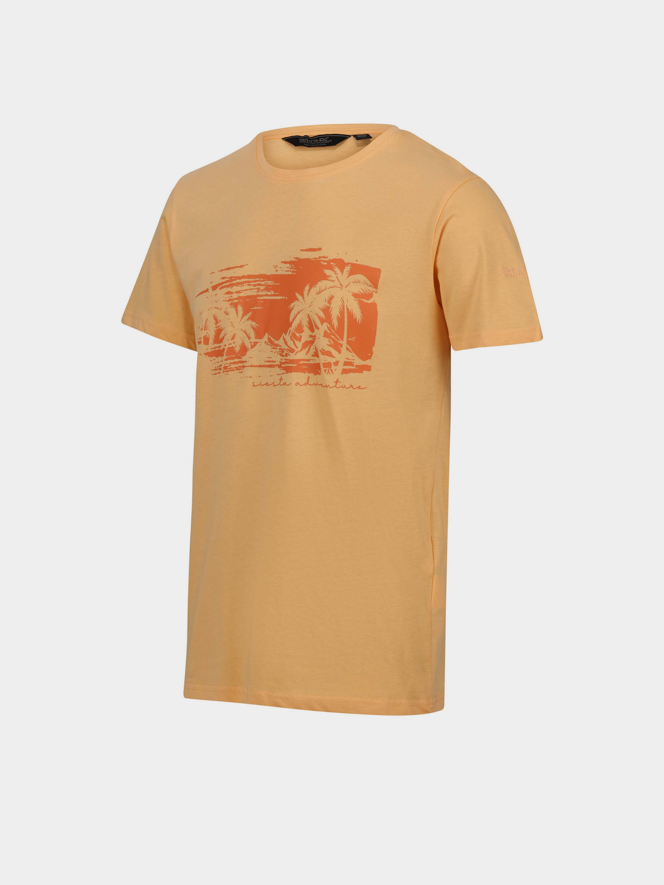 Футболка Regatta Cline VII модель RMT263-JPJ Помаранчевий Фото