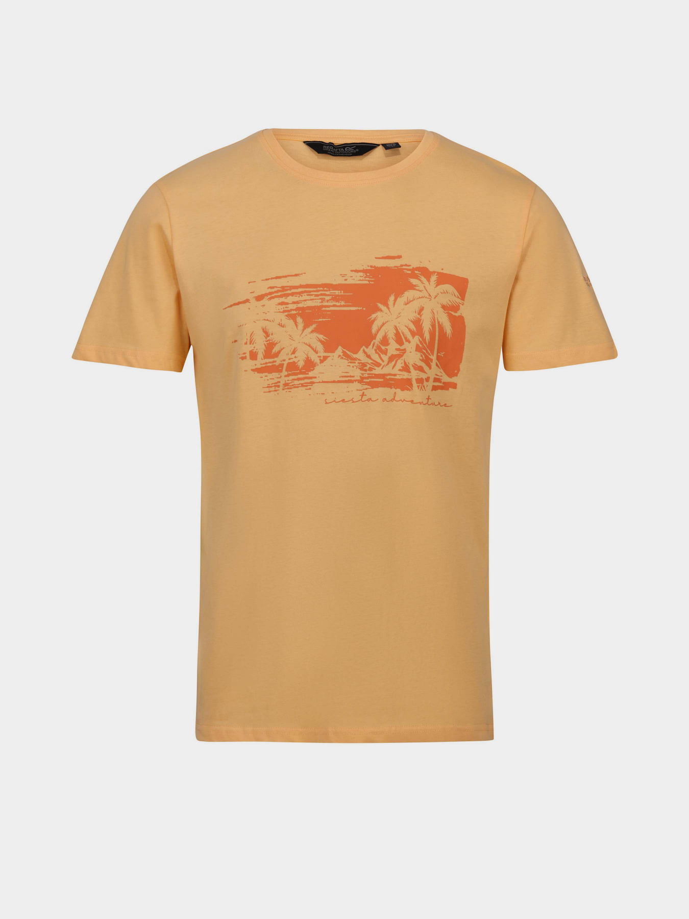 Футболка Regatta Cline VII модель RMT263-JPJ Помаранчевий Фото