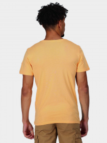 Футболка Regatta Cline VII модель RMT263-JPJ Помаранчевий Фото