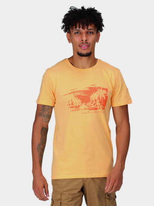 Футболка Regatta Cline VII модель RMT263-JPJ Помаранчевий Фото