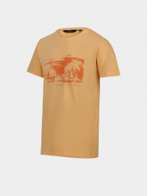 Футболка Regatta Cline VII модель RMT263-JPJ Помаранчевий Футболка Regatta Cline VII модель RMT263-JPJ Помаранчевий Фото