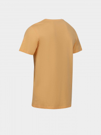 Футболка Regatta Cline VII модель RMT263-JPJ Помаранчевий Футболка Regatta Cline VII модель RMT263-JPJ Помаранчевий Фото