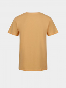 Футболка Regatta Cline VII модель RMT263-JPJ Помаранчевий Футболка Regatta Cline VII модель RMT263-JPJ Помаранчевий Фото