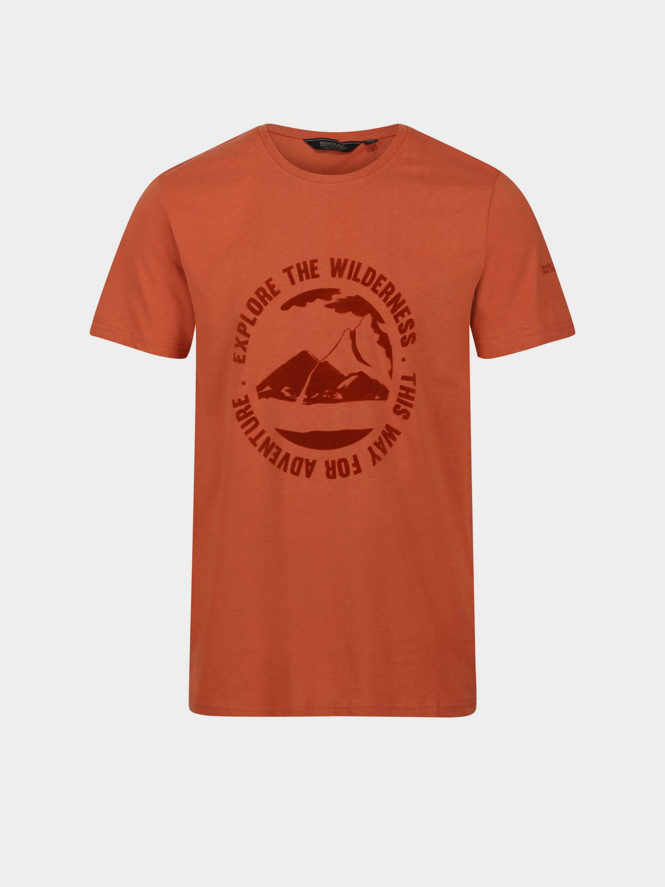 Футболка Regatta Cline VII модель RMT263-K13 Помаранчевий Фото