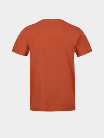 Футболка Regatta Cline VII модель RMT263-K13 Помаранчевий Фото