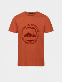 Футболка Regatta Cline VII модель RMT263-K13 Помаранчевий Фото