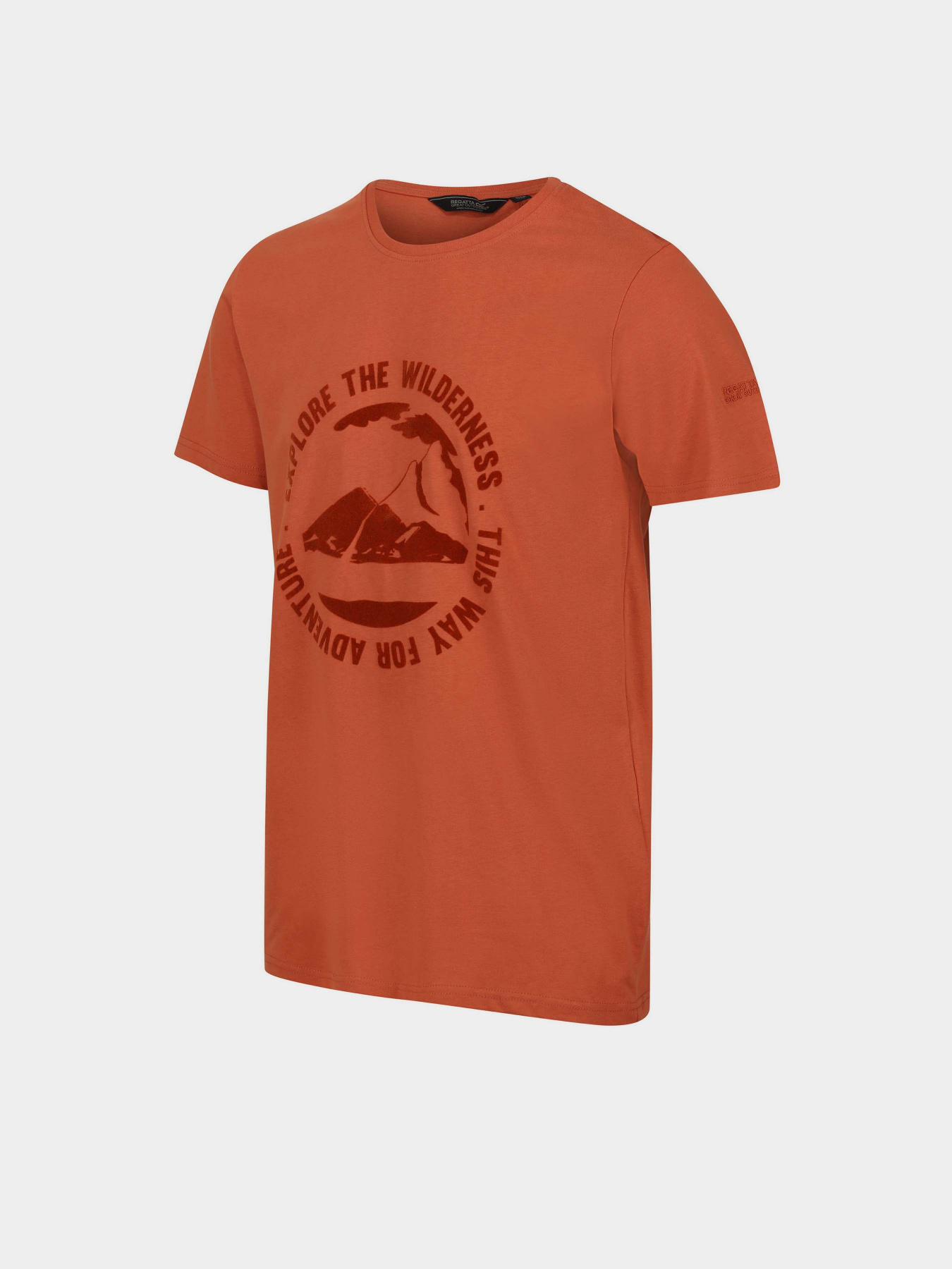 Футболка Regatta Cline VII модель RMT263-K13 Помаранчевий Футболка Regatta Cline VII модель RMT263-K13 Помаранчевий Фото