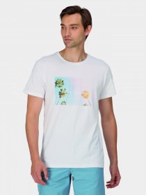 Футболка Regatta Cline VII модель RMT263-RKU Білий Фото