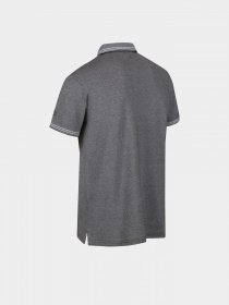 Поло Regatta Tinston модель RMT264-41C Хакі Фото