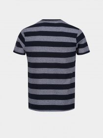 Футболка Regatta Ryeden модель RMT265-5XI Синій, білий Фото