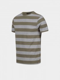 Футболка Regatta Ryeden модель RMT265-JR7 Зелений, білий Фото