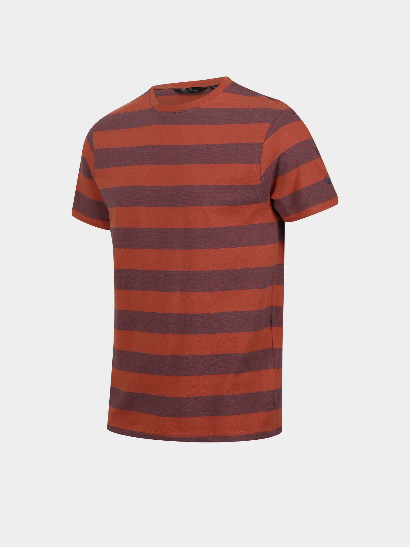 Футболка Regatta Ryeden модель RMT265-N5K Фіолетовий, коричневий Фото