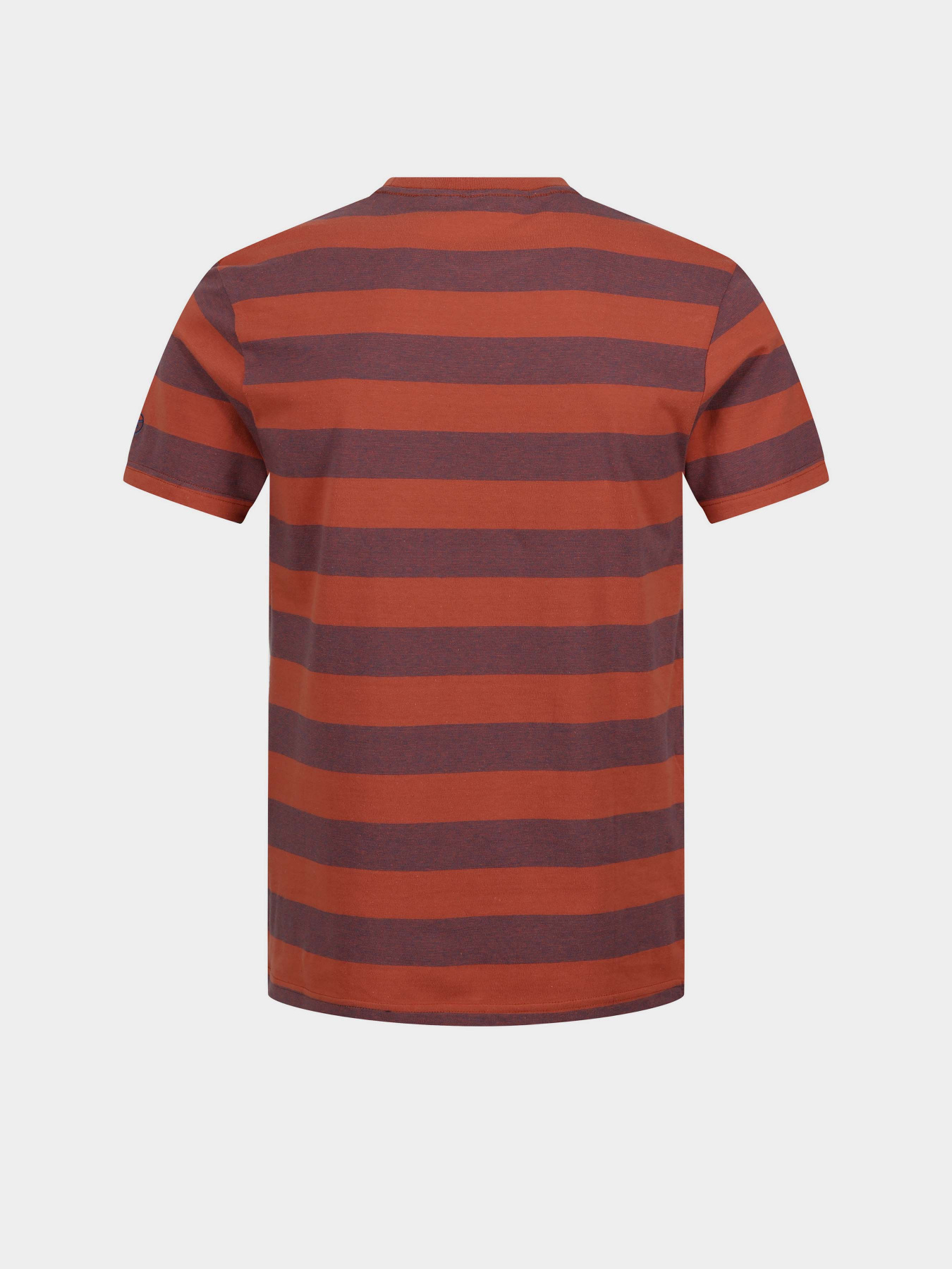 Футболка Regatta Ryeden модель RMT265-N5K Фіолетовий, коричневий Фото