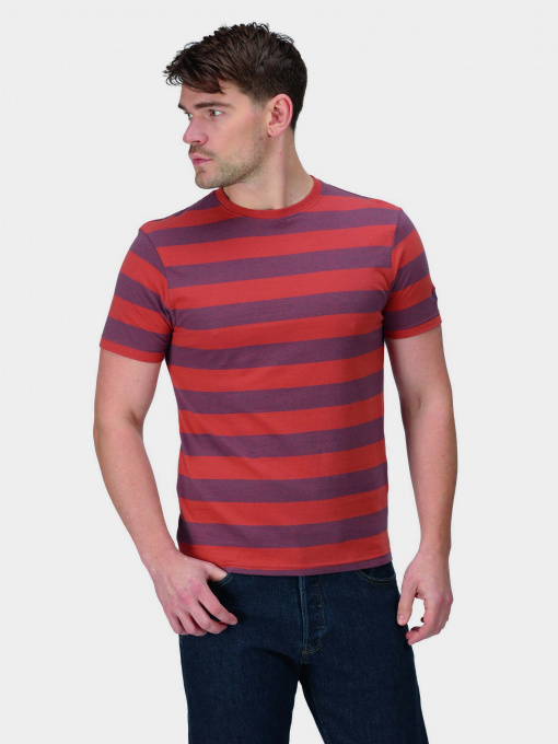 Футболка Regatta Ryeden модель RMT265-N5K Фіолетовий, коричневий Фото