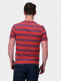 Футболка Regatta Ryeden модель RMT265-N5K Фіолетовий, коричневий Футболка Regatta Ryeden модель RMT265-N5K Фіолетовий, коричневий Фото