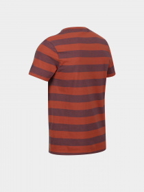 Футболка Regatta Ryeden модель RMT265-N5K Фіолетовий, коричневий Футболка Regatta Ryeden модель RMT265-N5K Фіолетовий, коричневий Фото