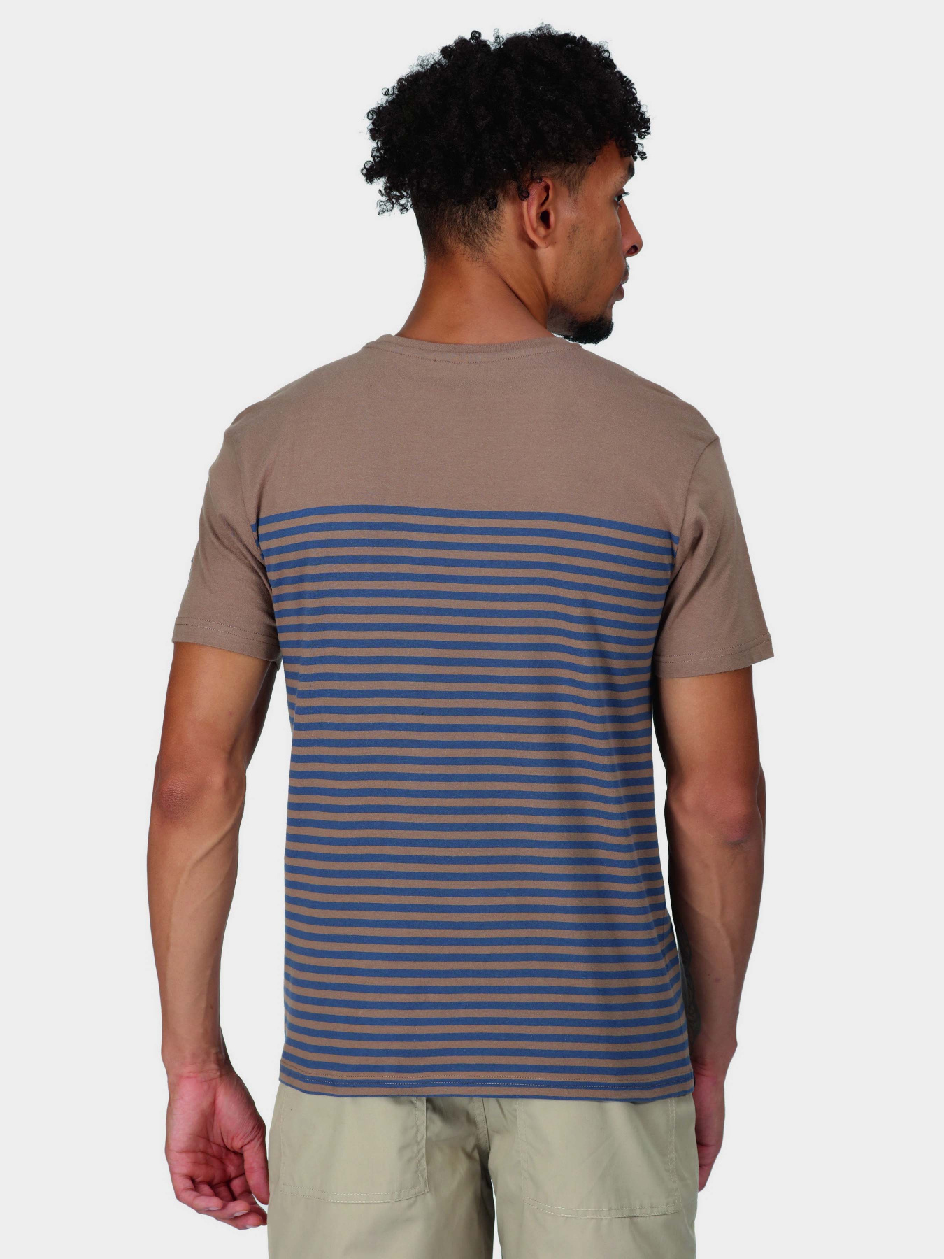 Футболка Regatta Shorebay модель RMT266-P6R Коричневий, синій Фото