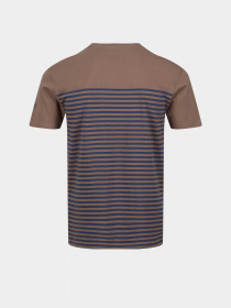 Футболка Regatta Shorebay модель RMT266-P6R Коричневий, синій Фото