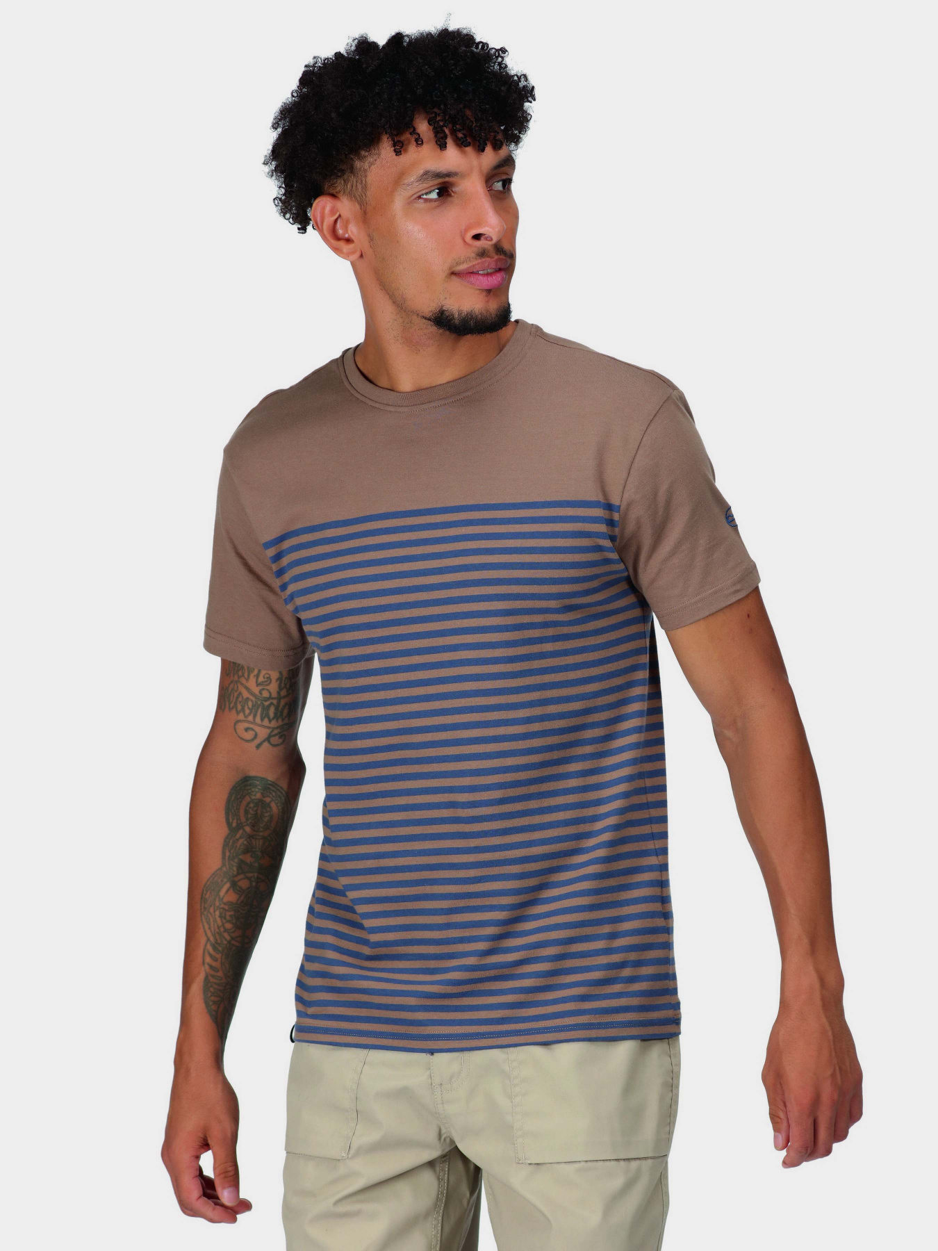 Футболка Regatta Shorebay модель RMT266-P6R Коричневий, синій Фото