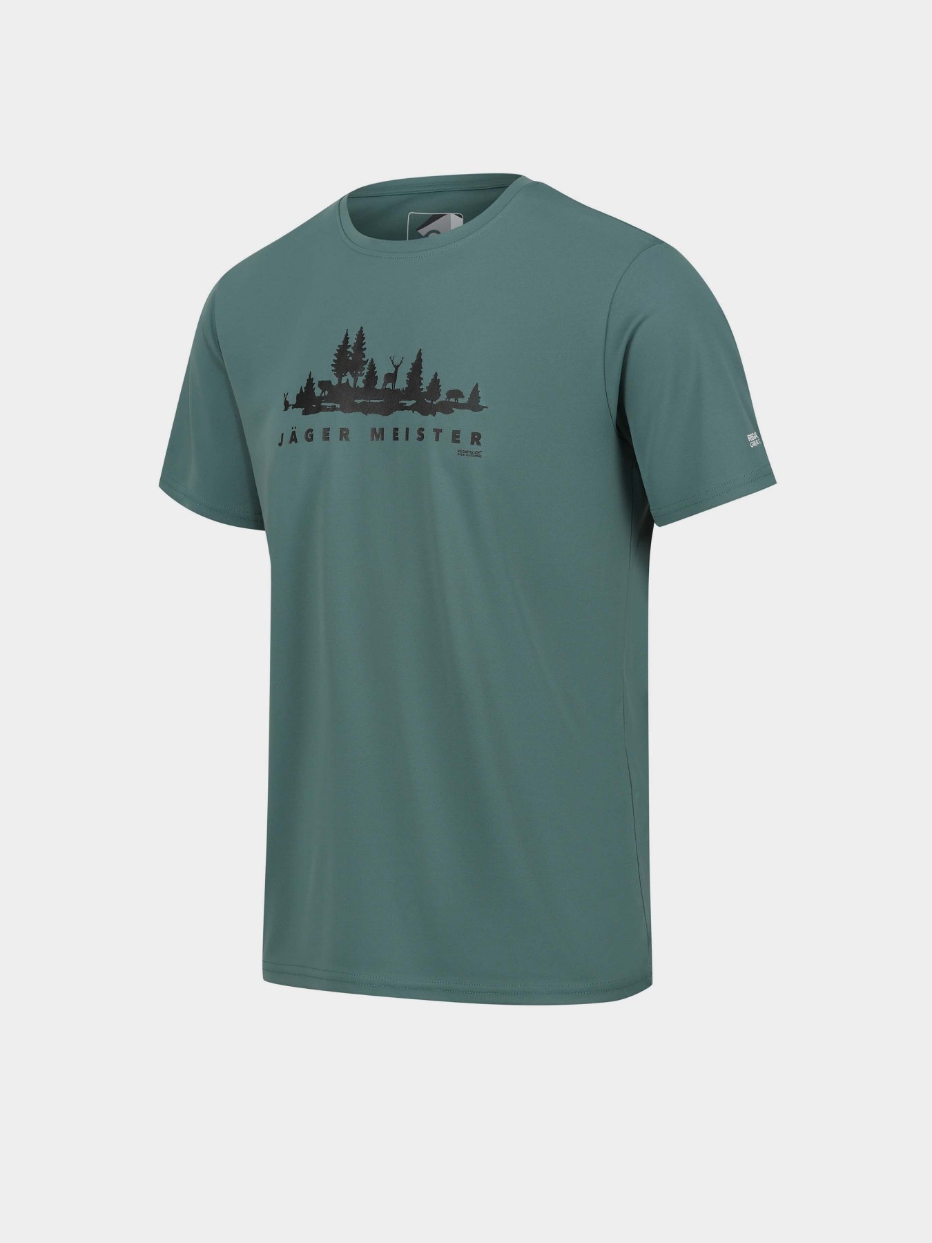 Футболка Regatta Fingal Slogan II модель RMT271-G79 Бірюзовий Фото