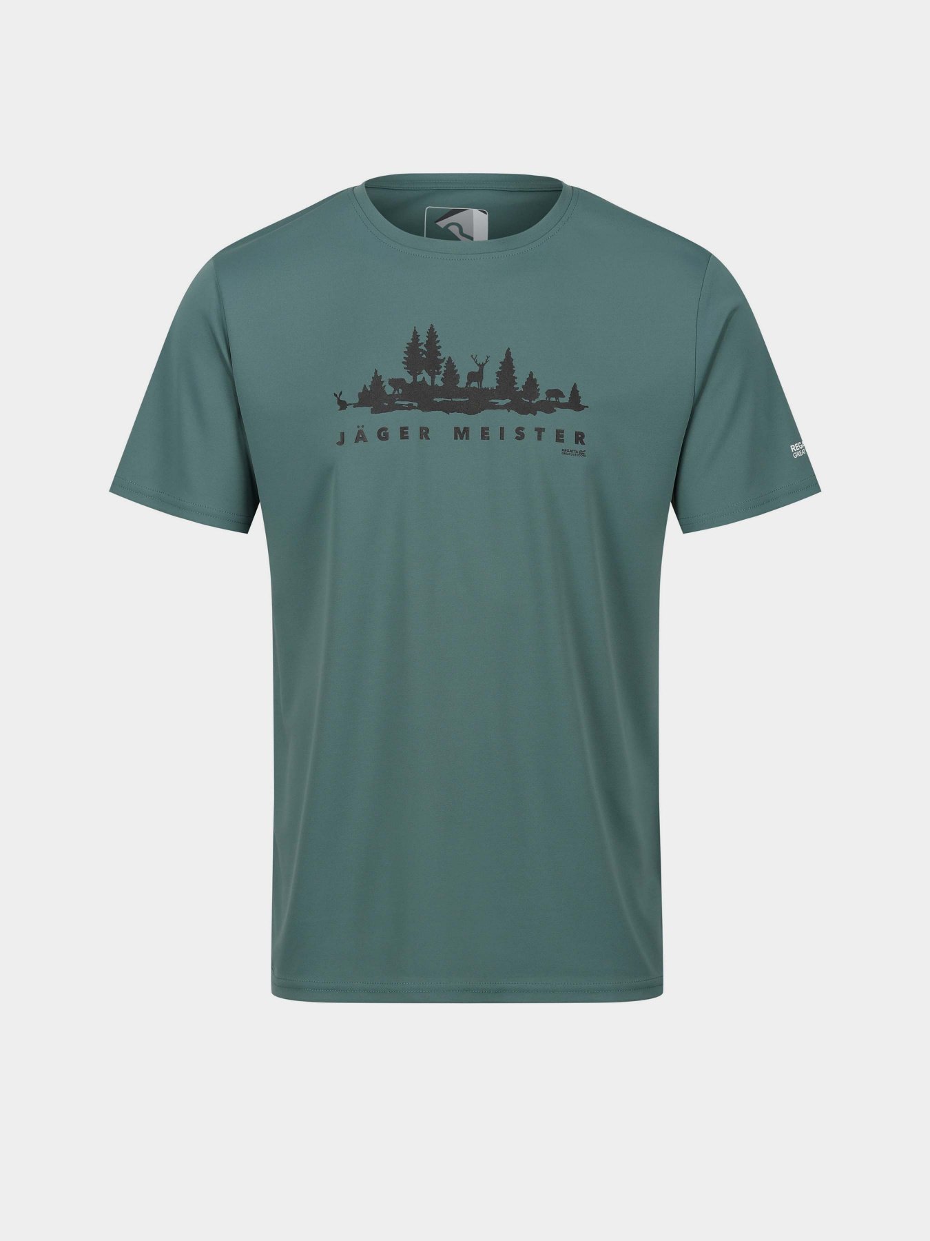 Футболка Regatta Fingal Slogan II модель RMT271-G79 Бірюзовий Фото