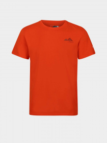 Футболка Regatta Breezed III модель RMT273-33L Помаранчевий Футболка Regatta Breezed III модель RMT273-33L Помаранчевий Фото