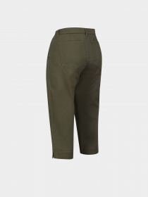 Повседневные шорты Regatta Bayla Capri модель RWJ285-G6R Зелений Фото