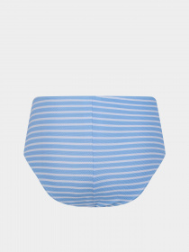 Нижняя часть купальника Regatta Paloma Swim Brief модель RWM031-E6T Синій, білий Фото