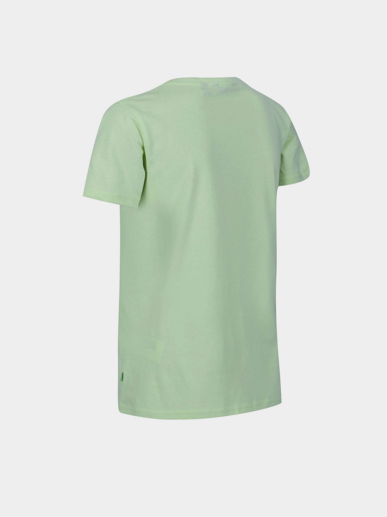 Футболка Regatta Filandra VII модель RWT262-JWD Зелений Футболка Regatta Filandra VII модель RWT262-JWD Зелений Фото