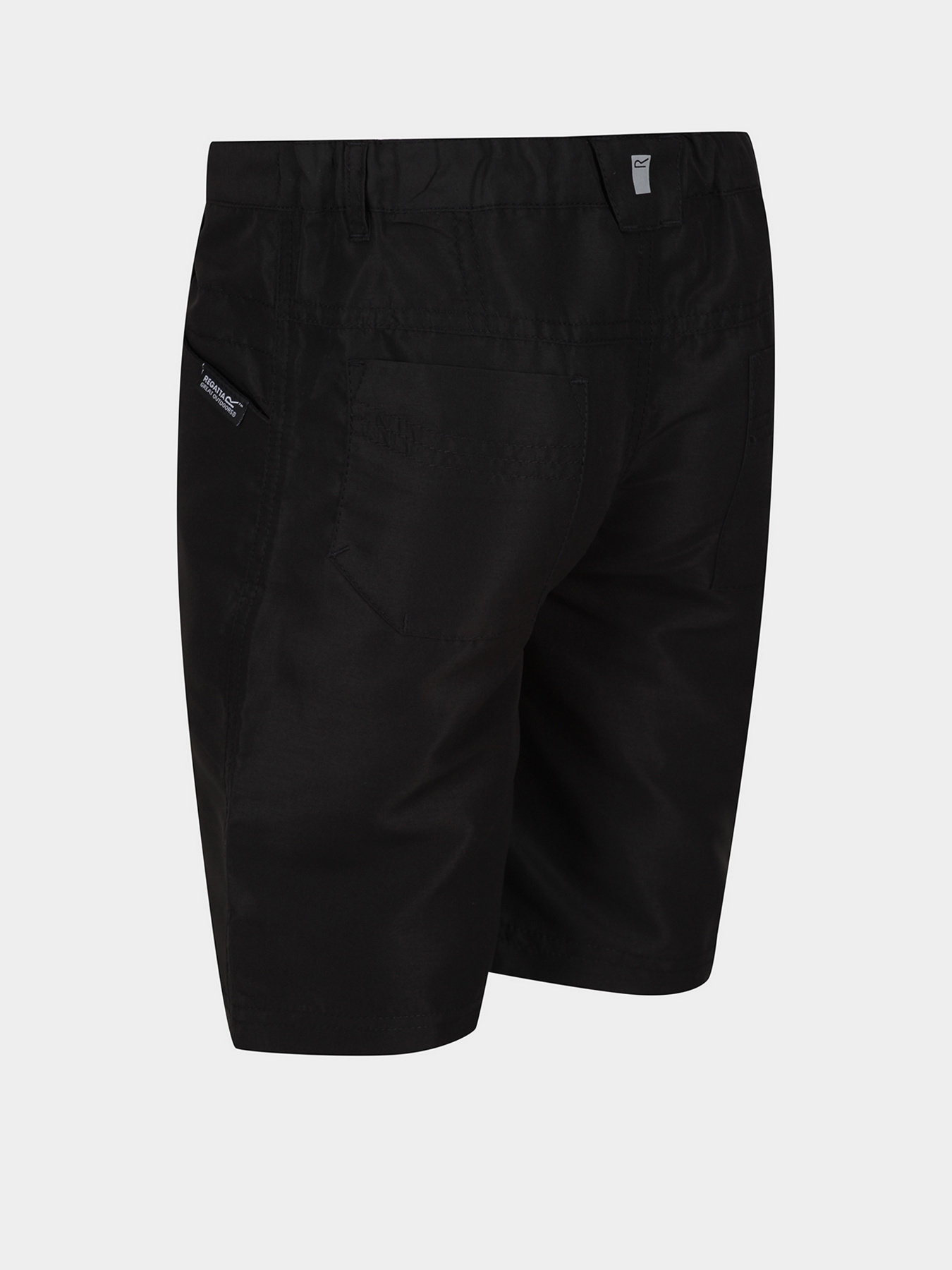 Шорты Regatta Sorcer II модель RKJ106-800 Фото